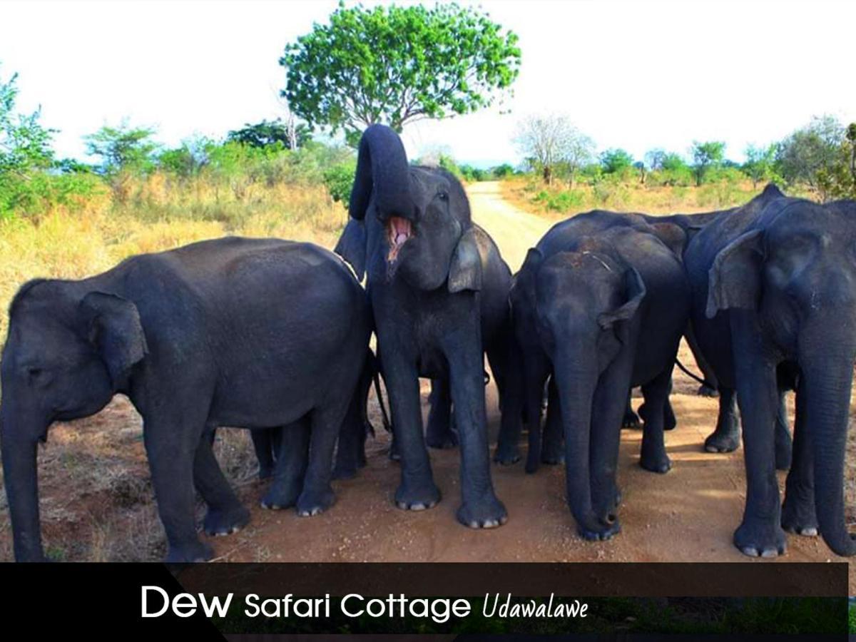 Dew Safari Cottage Udawalawe Exterior photo