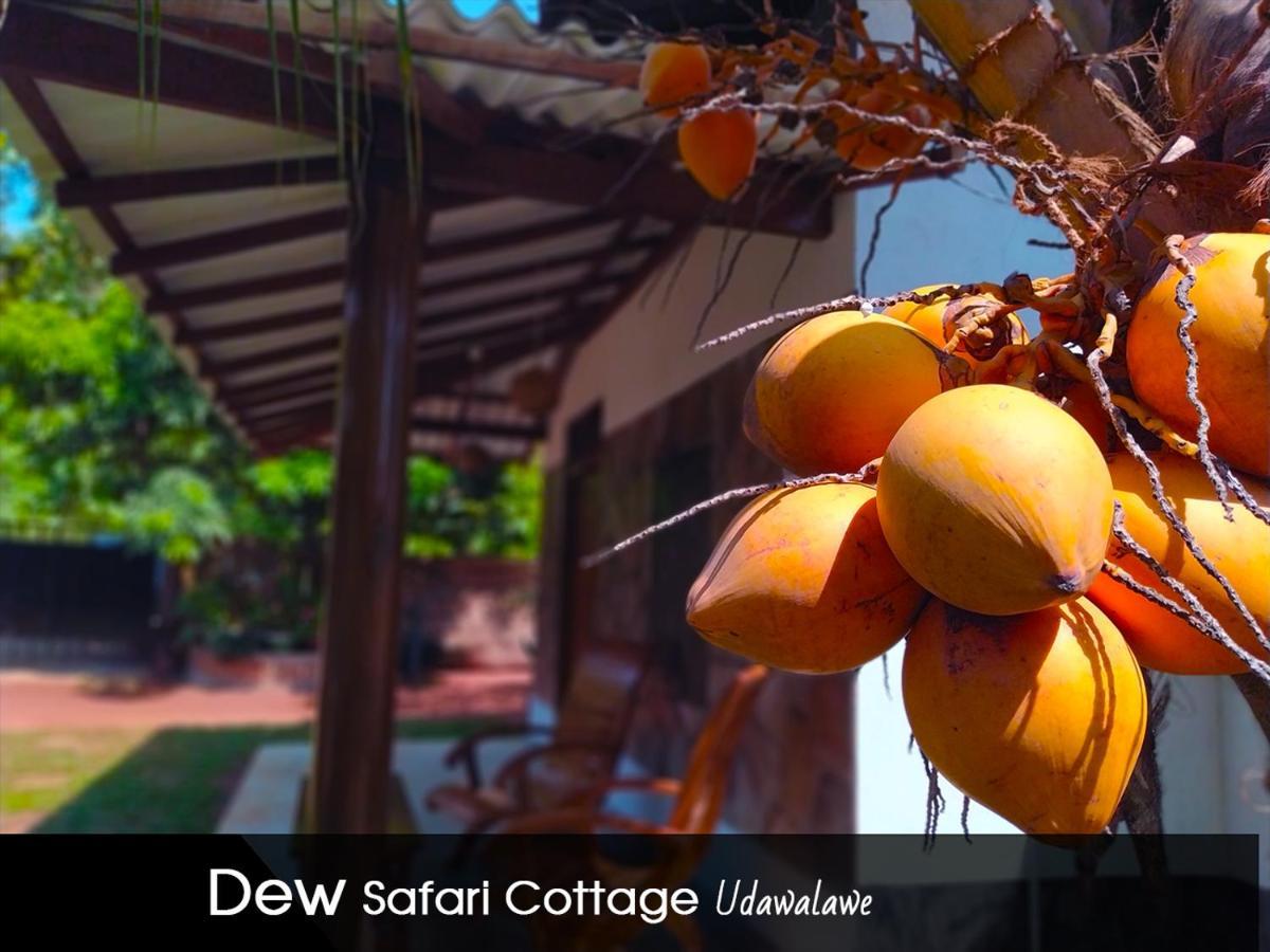 Dew Safari Cottage Udawalawe Exterior photo