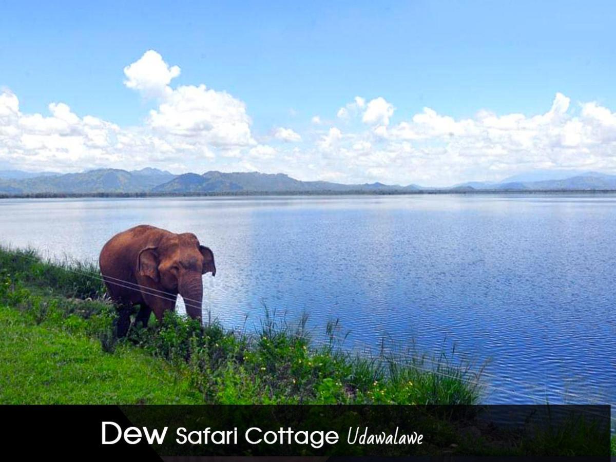 Dew Safari Cottage Udawalawe Exterior photo