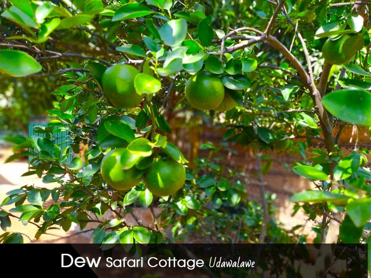 Dew Safari Cottage Udawalawe Exterior photo